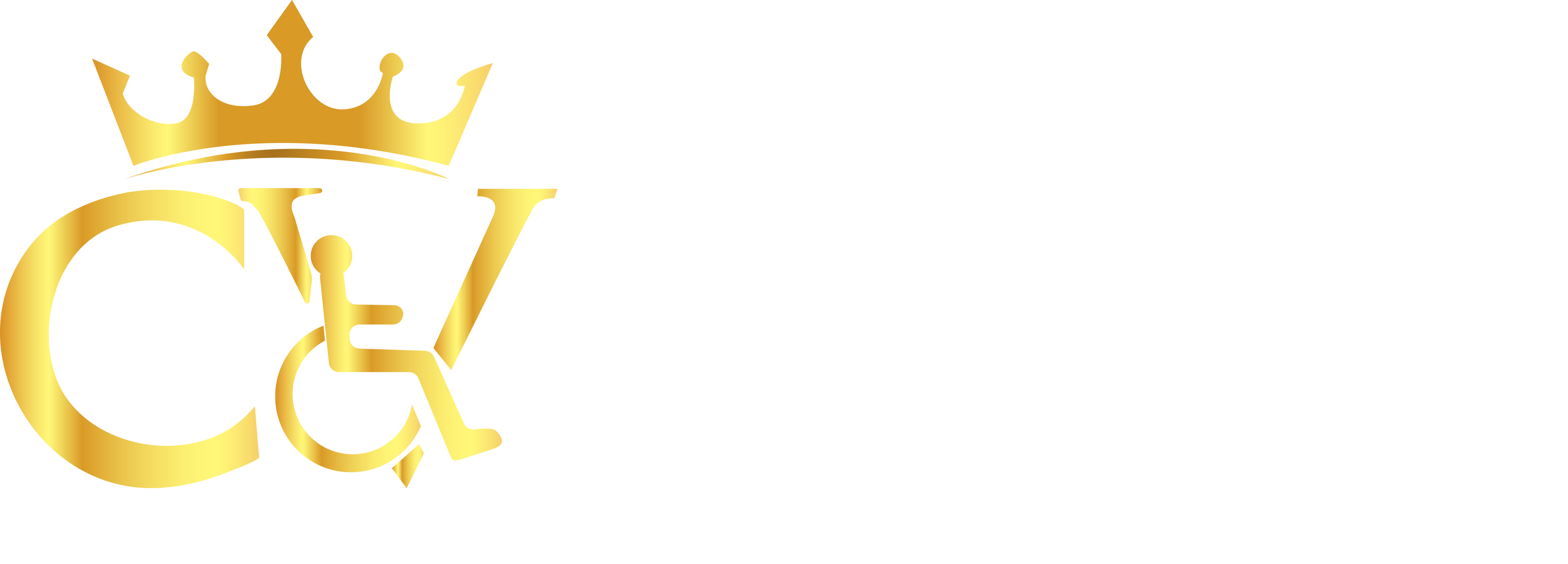 CV Royal Transportation Logo